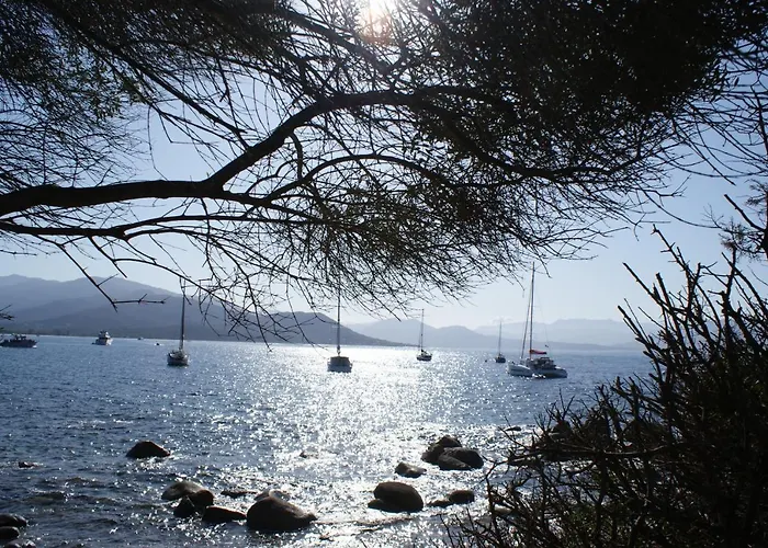 A Casa Nera 公寓 *